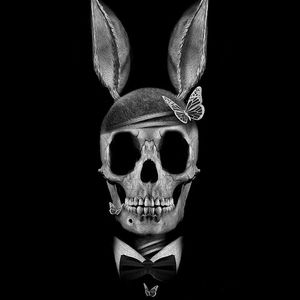 Meet your Posher, Ra-shed