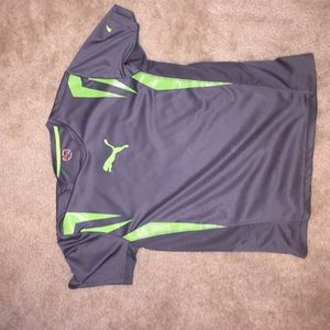 Grey puma shirt. Is great with green highlights.