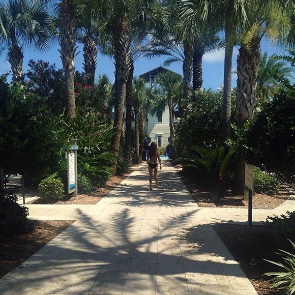 Meet your Posher, Sofia - Picture 2 of 3