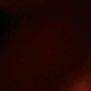 Meet your Posher, Brock