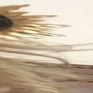 Meet your Posher, Carla