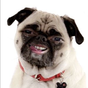 Meet your Posher, Ruby