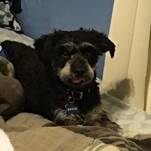 Meet your Posher, Sonia