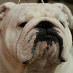 Meet your Posher, Mimi