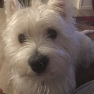 Meet your Posher, Carin