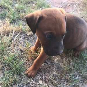 Meet your Posher, Connie