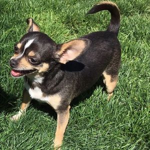 Meet your Posher, Tamera