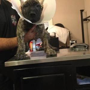 Meet your Posher, Nicholas