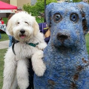 Meet your Posher, Alissa