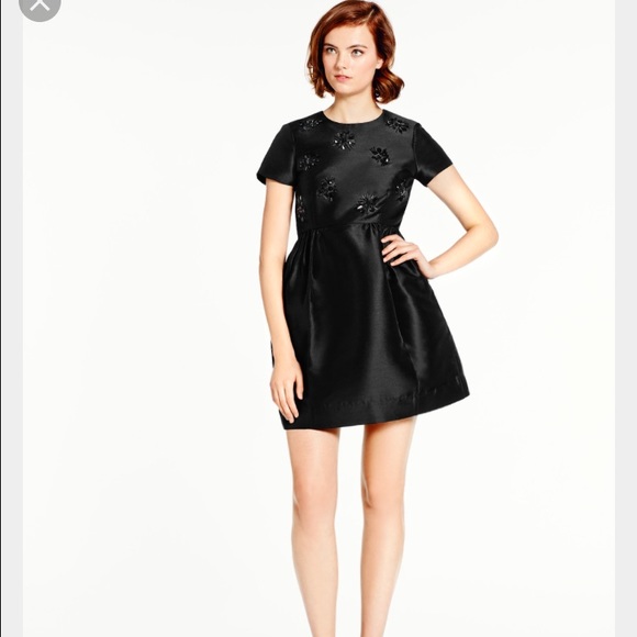 NWT Embellished Cupcake Dress