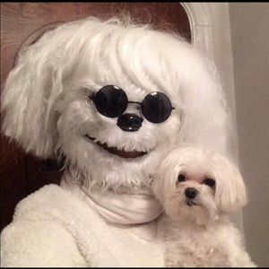 Meet your Posher, Zachary