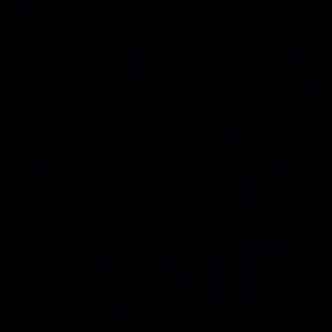 Meet your Posher, Shelley