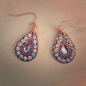 Never before worn blue earrings