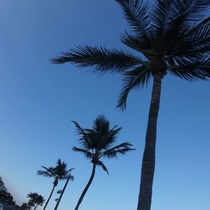 Meet your Posher, Claudia