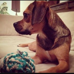 Meet your Posher, Chad