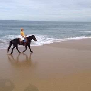 Meet your Posher, Sherrie