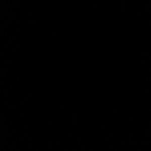 Meet your Posher, Elvin