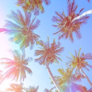 Meet your Posher, Tierra