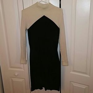 Ann Taylor Sweater Dress