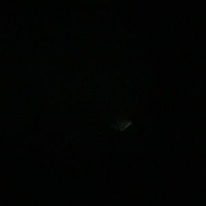 Meet your Posher, Tom