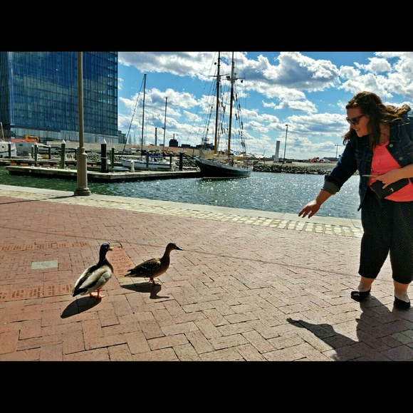 Meet your Posher, Linsy! - Picture 2 of 4