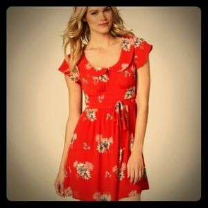 American Eagle collared fit and flare dress