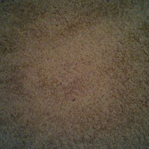 Meet your Posher, Derrick