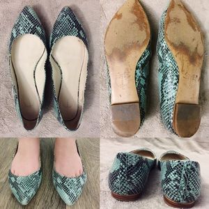 C. Wonder Snakeskin Pointed Toe Flats