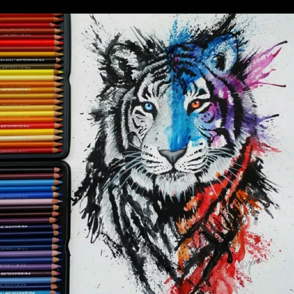 Meet your Posher, Jared - Picture 1 of 1