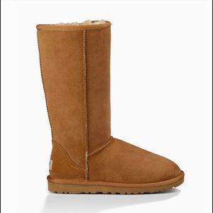 Women's size 5 Chestnut Tall Ugg Boots