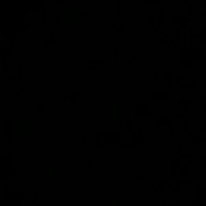 Meet your Posher, Rae