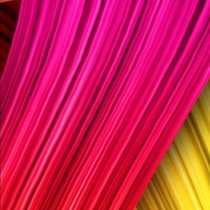 Meet your Posher, Shana