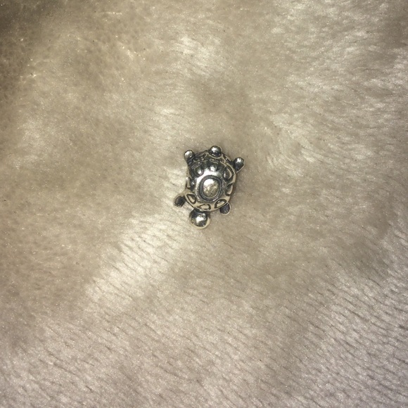 Pandora Charms