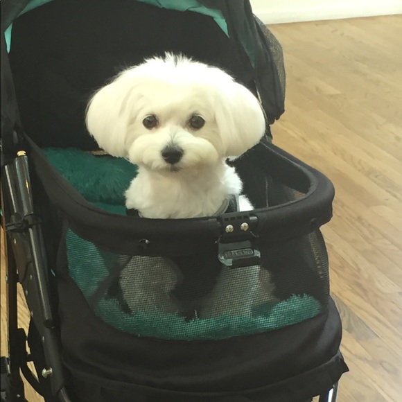 Meet your Posher, Wendy - Picture 3 of 4