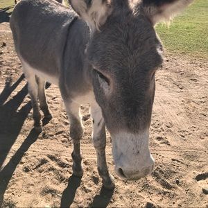 Meet your Posher, Denise