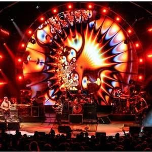 Meet your Posher, Austin