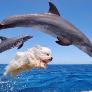 Meet your Posher, Stephen