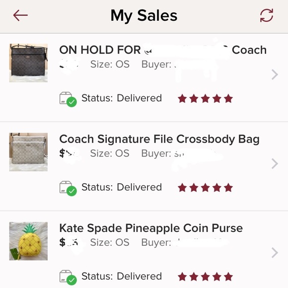 Meet your Posher, Gemini. - Picture 2 of 3