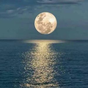 Meet your Posher, Eun