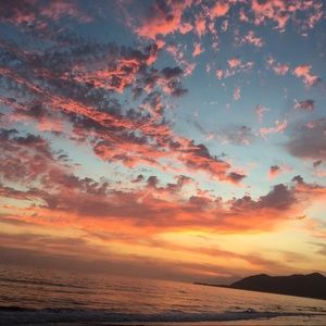 Meet your Posher, Lynette