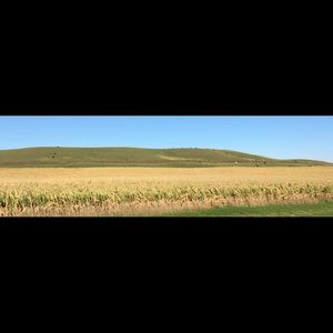 Meet your Posher, Leigha