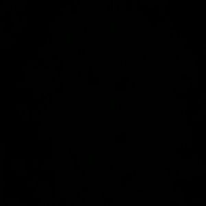 Meet your Posher, Dewanda