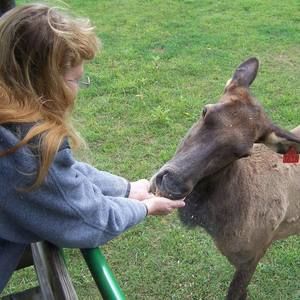 Meet your Posher, Sandy