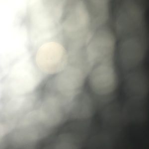 Meet your Posher, Dianet