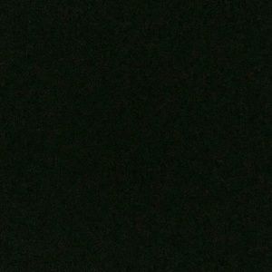 Meet your Posher, Sean