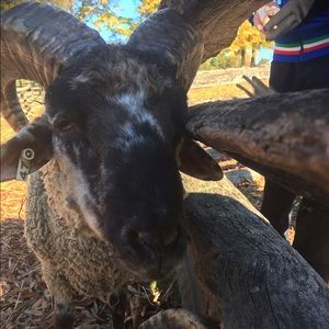 Meet your Posher, Jon