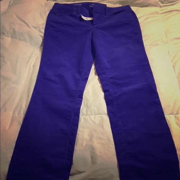 Women's clothes