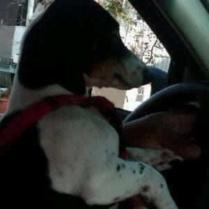 Meet your Posher, Ruby