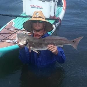 Meet your Posher, Drew