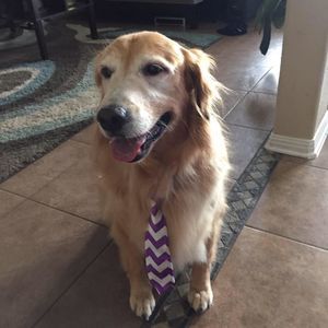 Meet your Posher, Mechele